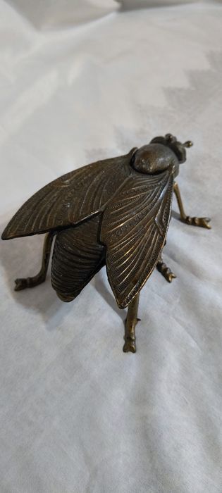 Голяма бронзова муха - пепелник