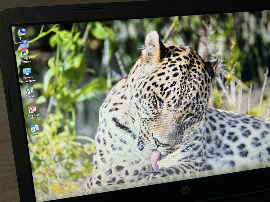 Шустрый быстрый ноутбук Hp