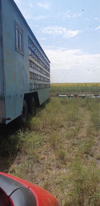 Пчело пакеты