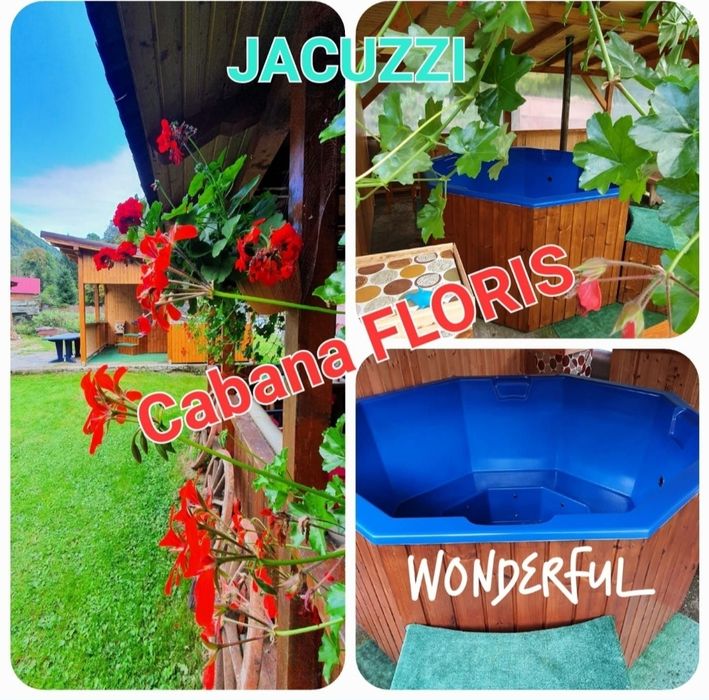 Cabana Floris de inchiriat