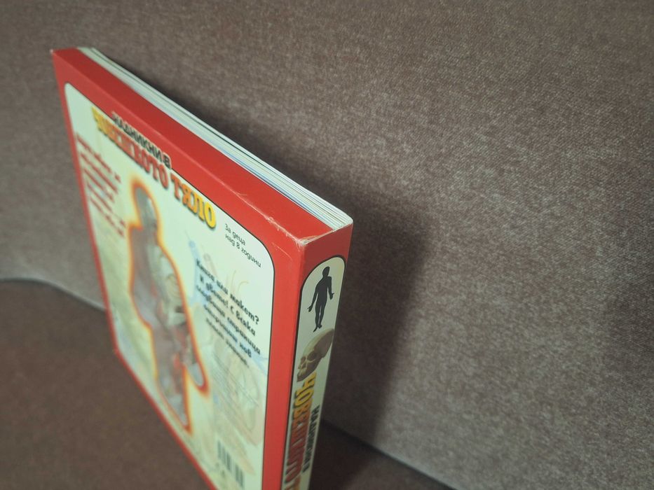 Детска енциклопедия