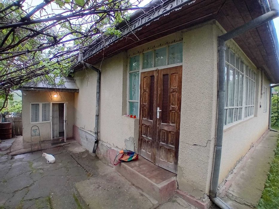 Vand casa cu gradina si anexe la 20 min de Iasi