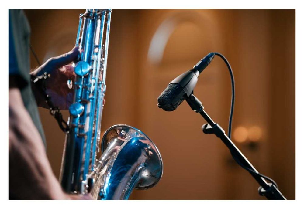 Microfon Sennheiser MD 421 capsula si grila