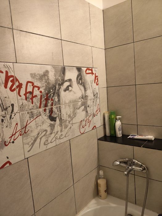 Închiriere ap 2 camere aleea buhusi sec 3