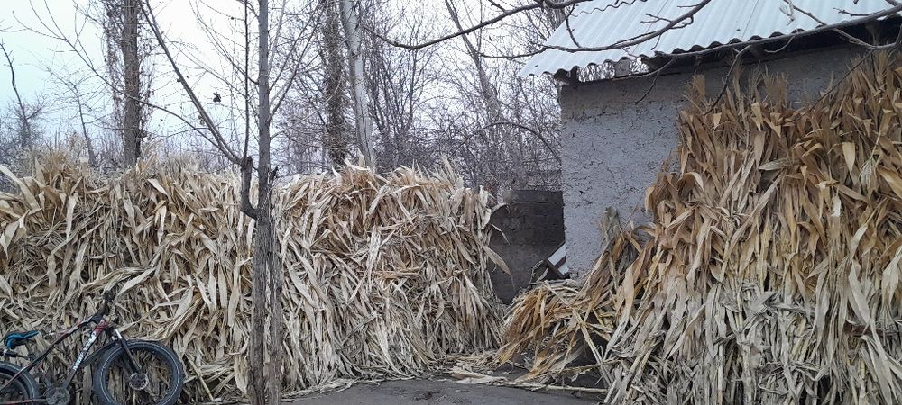 Макка поя бор кеиштириб бераман