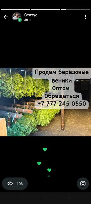 Продам берёзовые веники