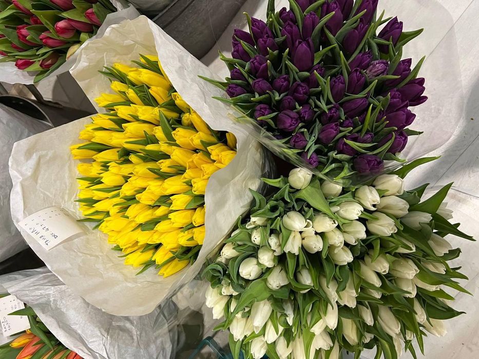 Тюльпаны оптом Астана