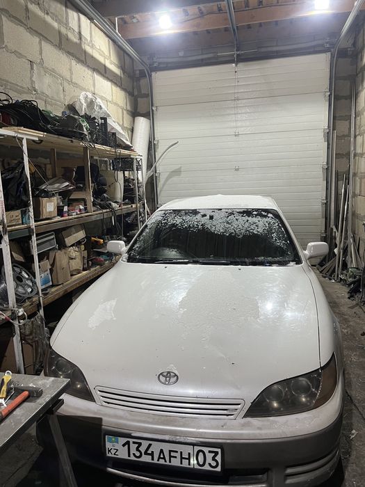 Windom обмен на скот