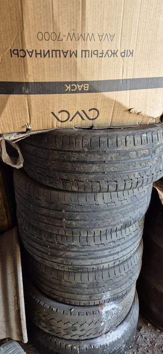 Continental лето