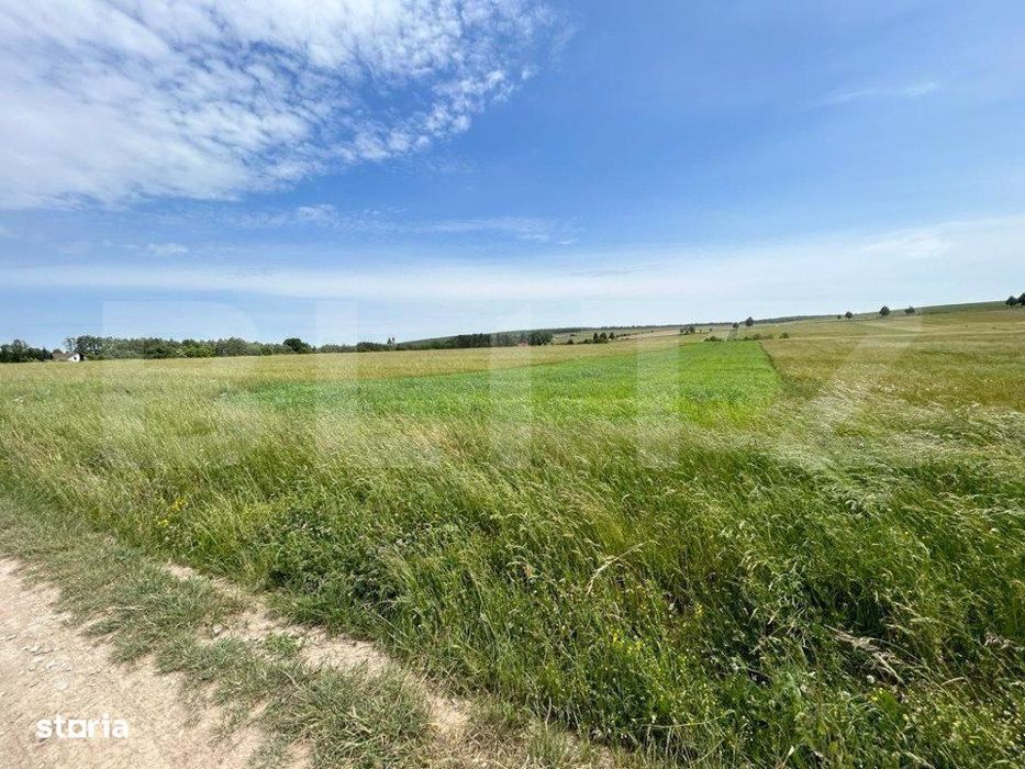 Teren cu suprafata de 8000mp ,situat in Mitocu Dragomirnei,zona Manast