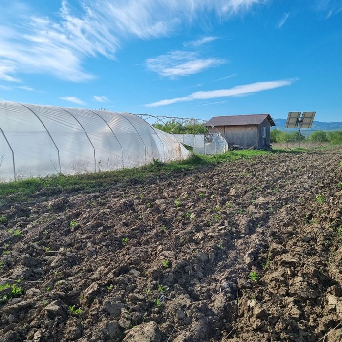 Vând Solar agricol