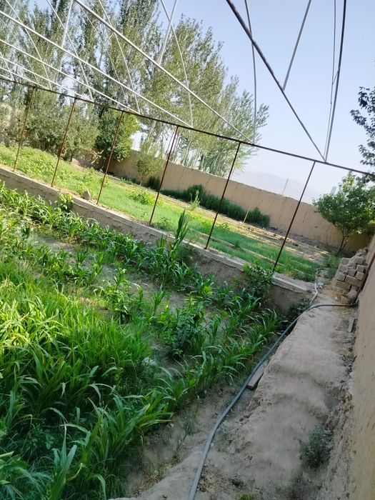 Земельный участок