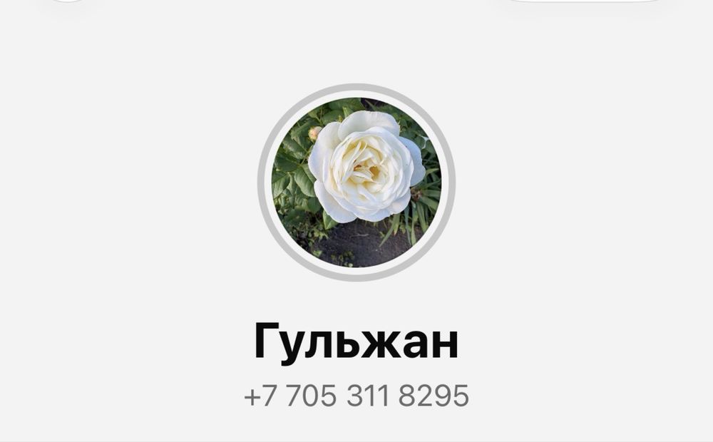 Стол деревянный в хорошем состоянии