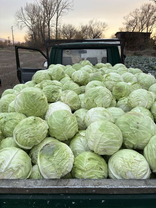 Продавам бяло зеле