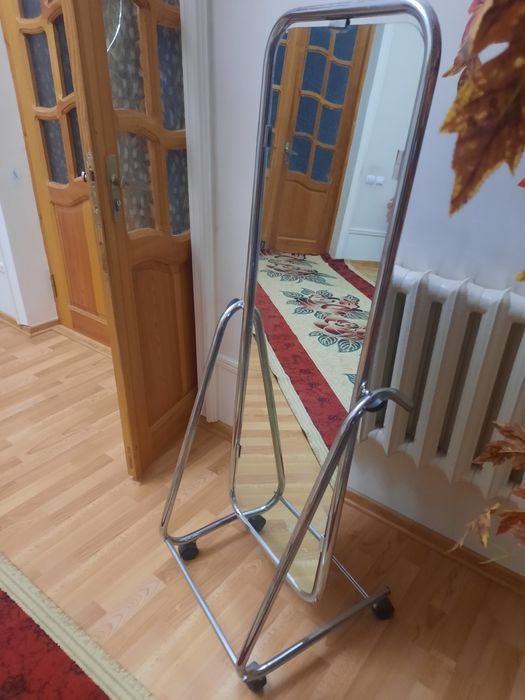 Зеркало для премьера