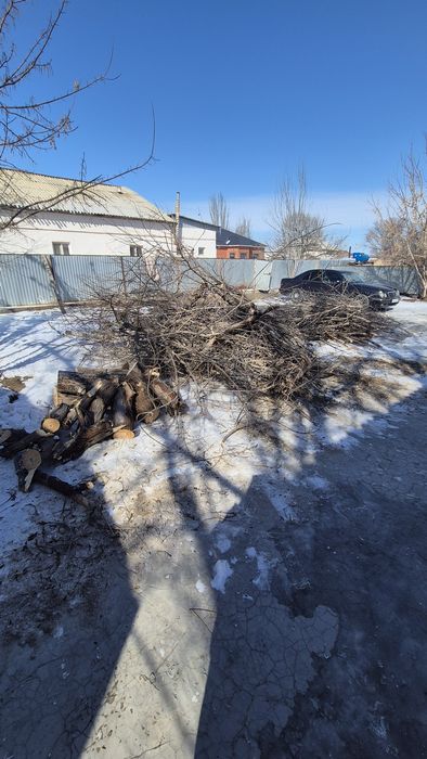 Тал ағаш отын бревно дрова тегін. Бесплатно