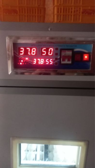 Продаётся  Инкубатор 1056