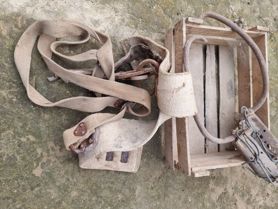 Ёг'оч столбага чикадигон