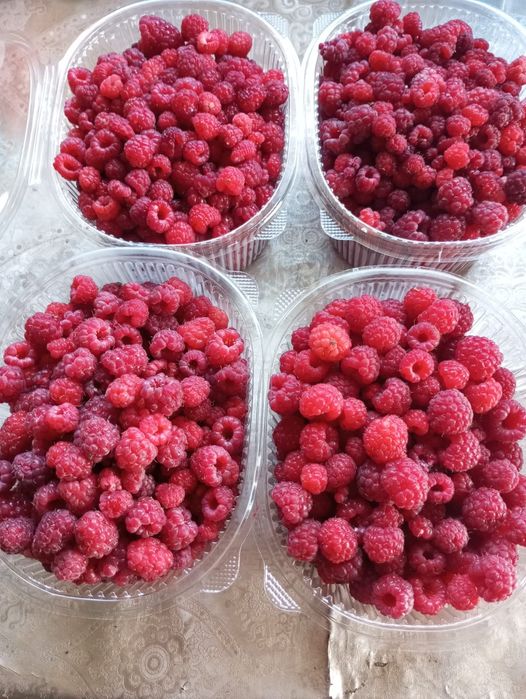 Продам дачу текстильщик 1