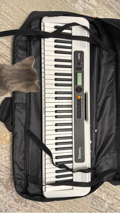 Синтезатор CASIO