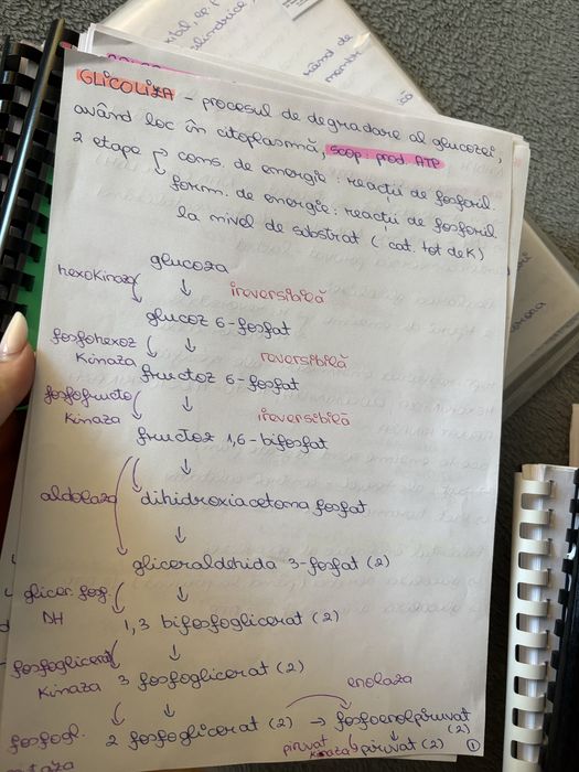 Materiale medicina dentara an 1 umf iasi