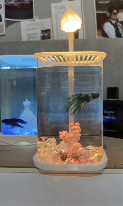 Аквариум + рибки + корм