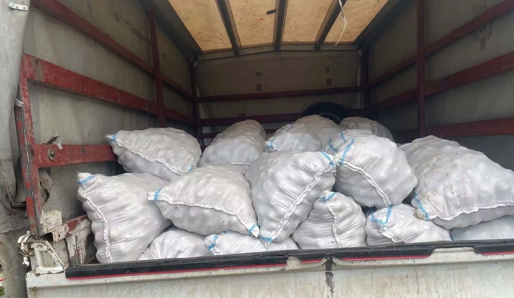 Mere de vanzare (oferim transport)