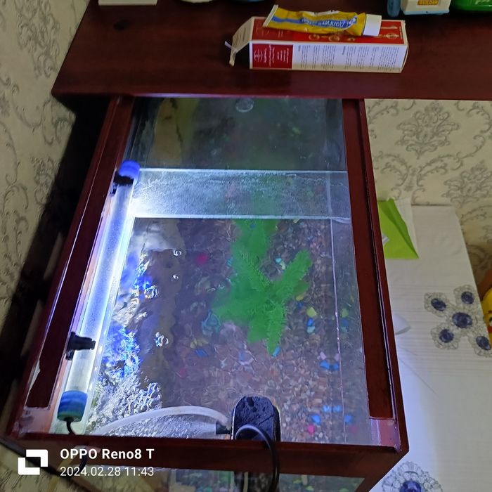 Аквариум в отличном состоянии