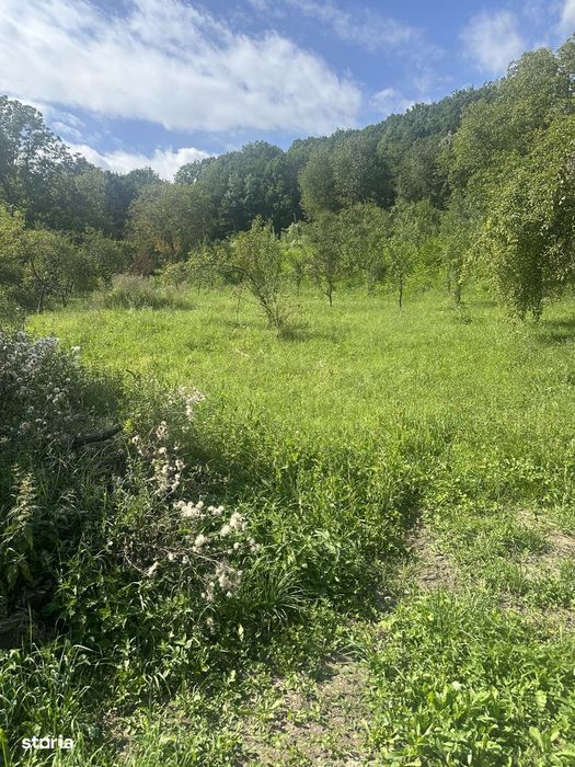 Telega - casa - teren 13000 mp/8000mp pădure - 170000 Euro