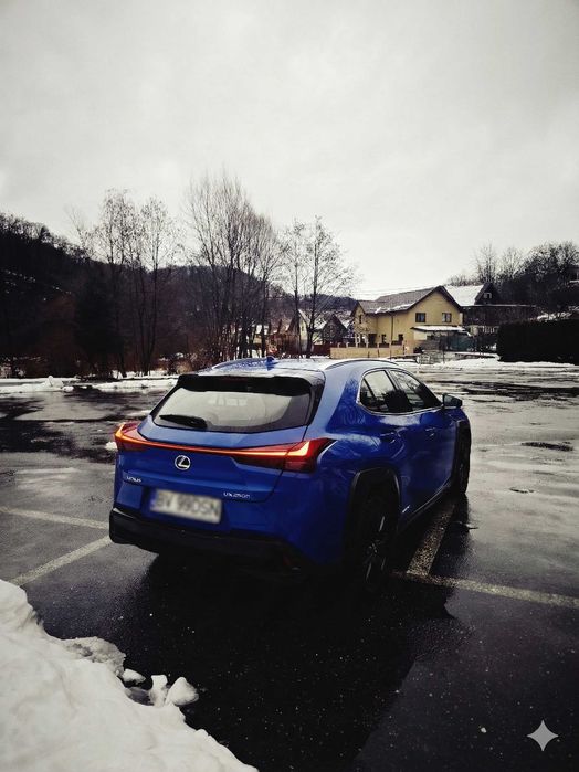 Lexus UX 250h Hybrid, Istoric reprezentanța, Proprietar