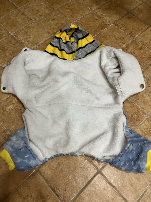 Одежда для собак