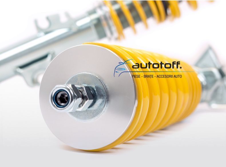 Suspensie sport reglabila BMW E36 (91-99) FK Germania