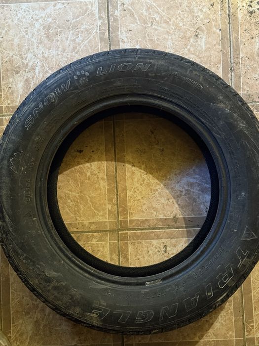 Зимние шины Triangle