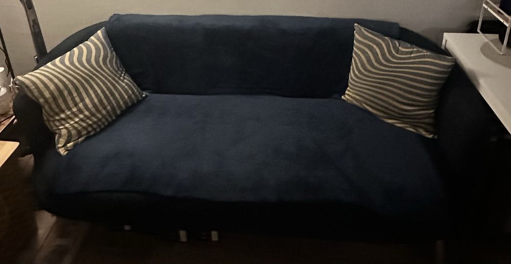 Canapea  + mop cu aburi Polti