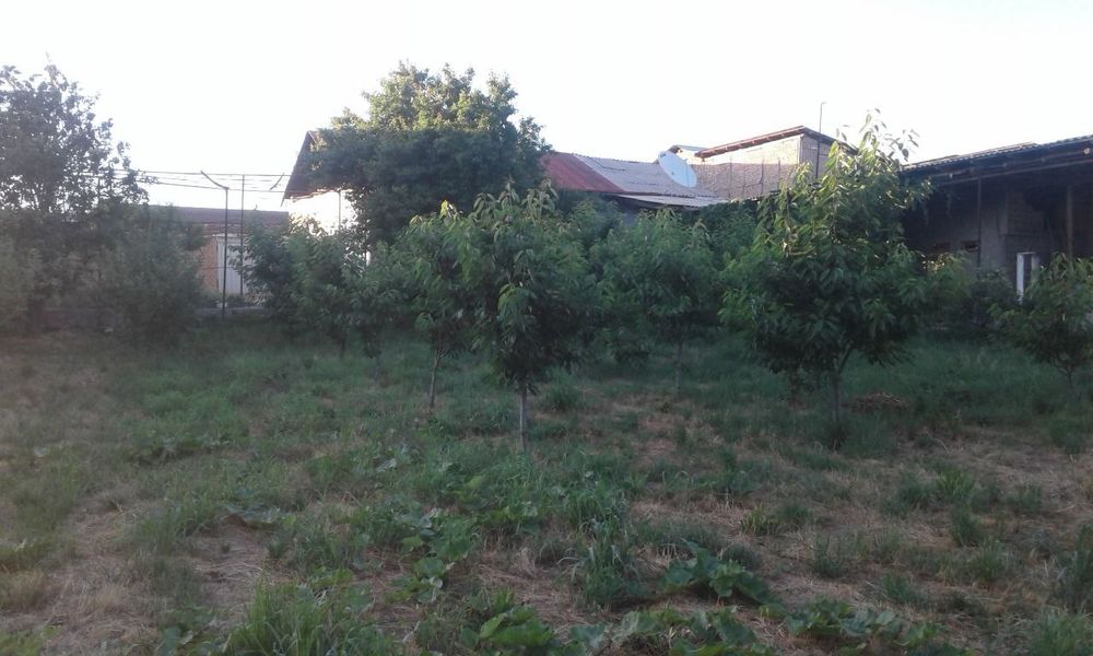 ХОВЛИ СОТИЛАДИ Улугбек посёлокдан 1 км
