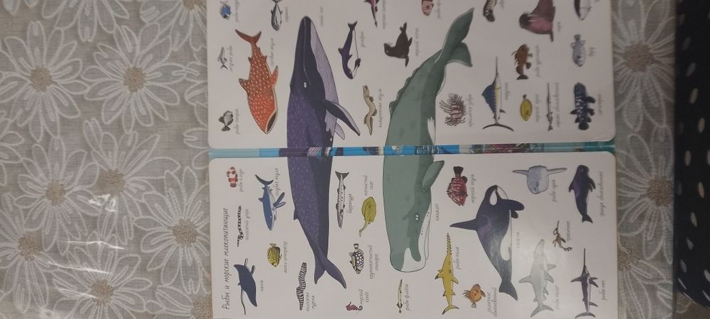 Книги для чтения