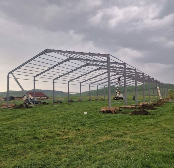Vand hale saivane industriale structurii metalice