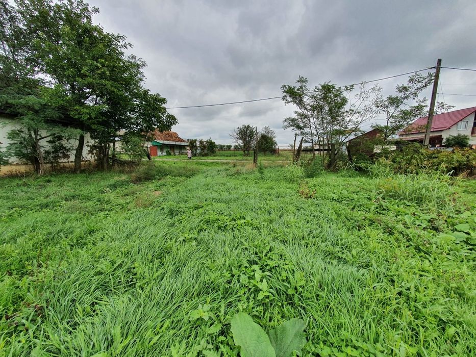 Vând casă cu grădină și construcții aferente în Com. Șimand, Jud. Arad