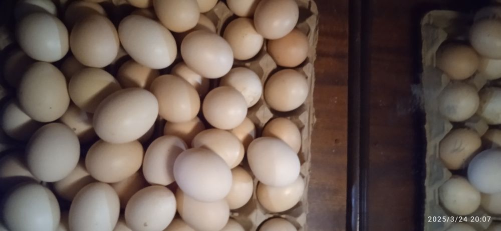 Жетісай қаласы Байзақов 4 үй