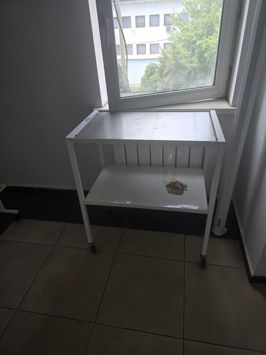 Medisinki sotol yaxwi xolata