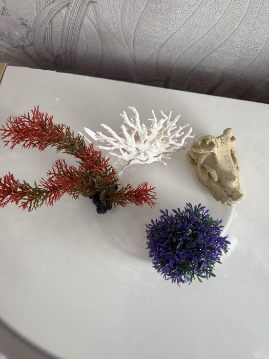 Продам круглый аквариум!