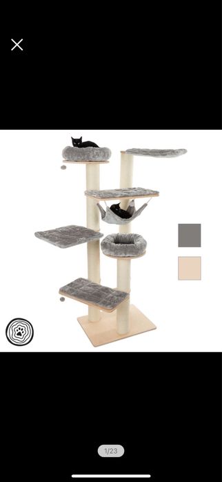 Natural Paradise Amaryllis ansamblu inalt pisici