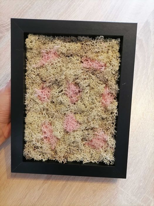 Декоративно пано от естествен стандинавски мъх за подарък