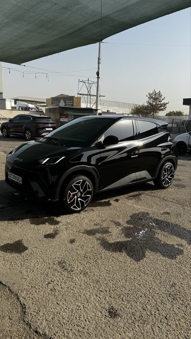 Byd seagull qora 2024/2025