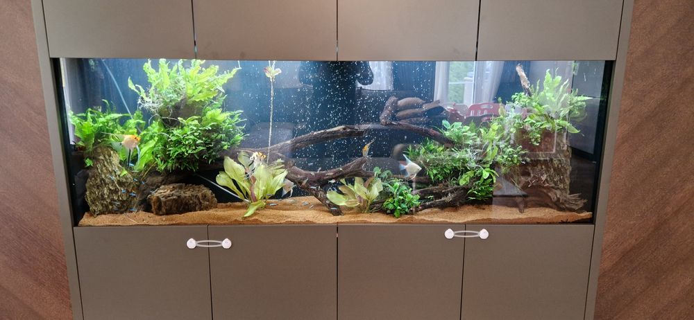 Поддръжка и изработка на аквариуми  Аква Кеър