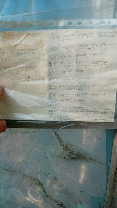 Рассада, посадочный материал