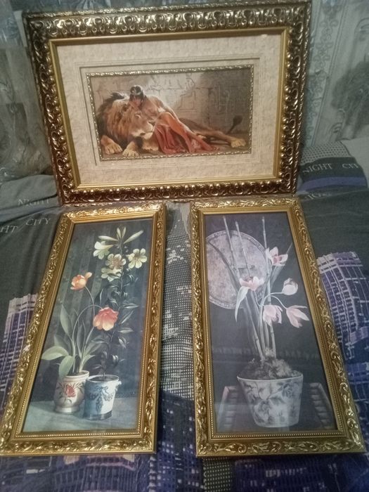 Картины оформитель
