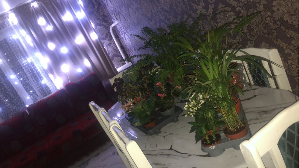 Продам или обмен