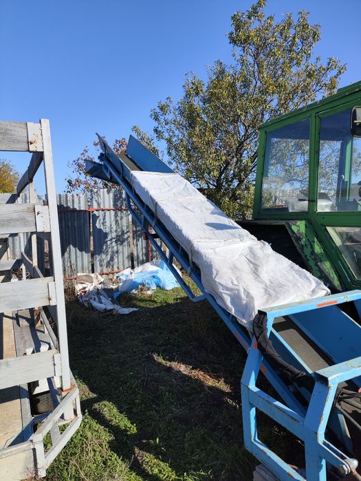 Косачка за Лавандула