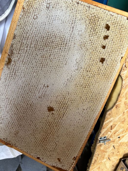 Miere de albine, lumânări direct de la producător! Lumânări evenimete!